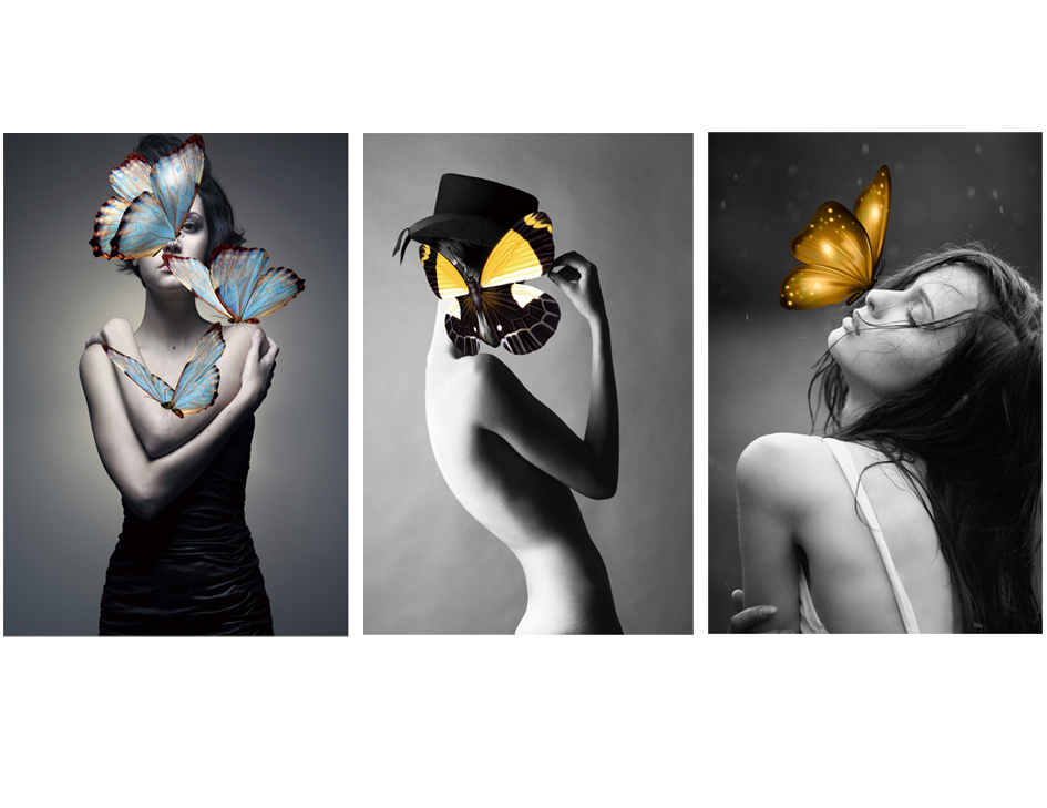 HY-00338 40x60