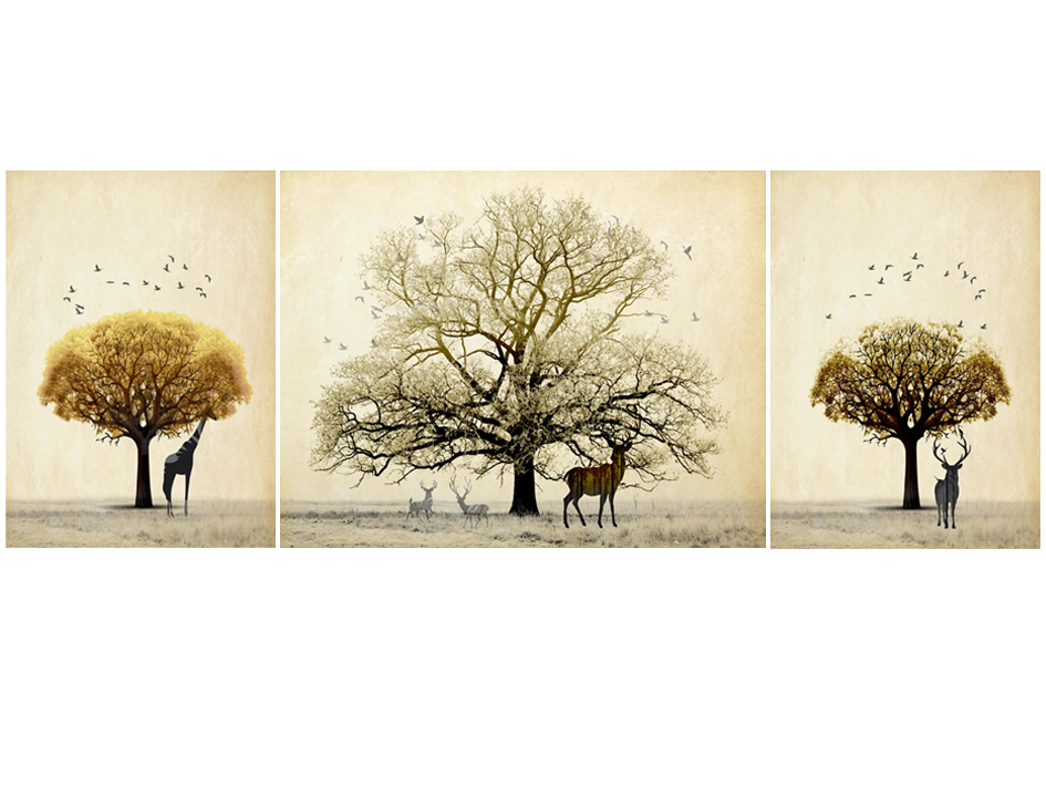 HY-00352 40X60X60