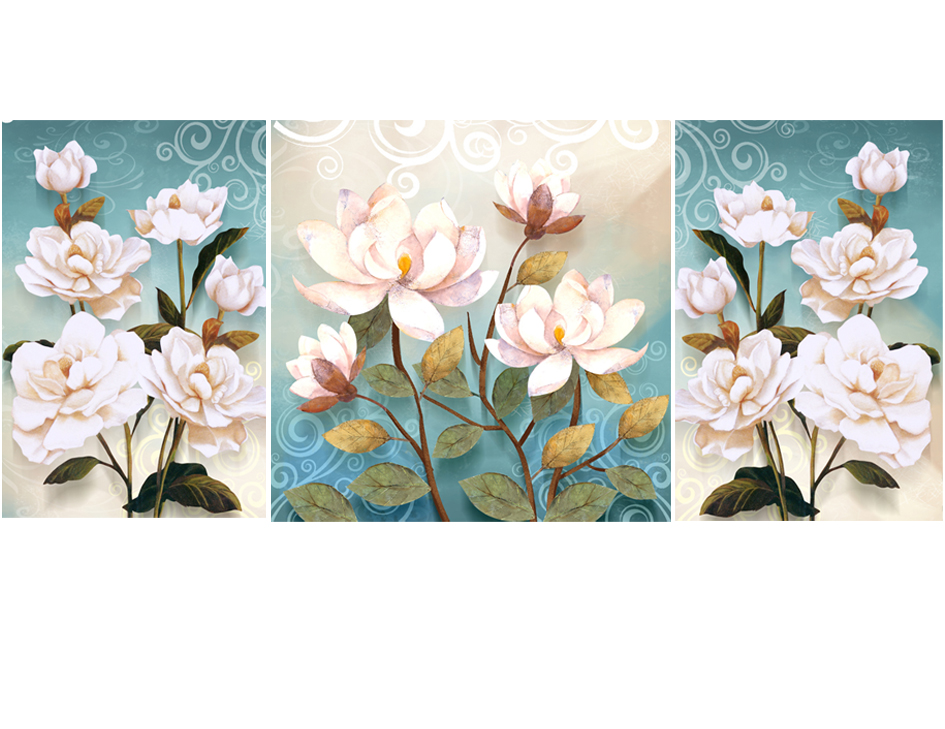 HY-00365 40x 60x60