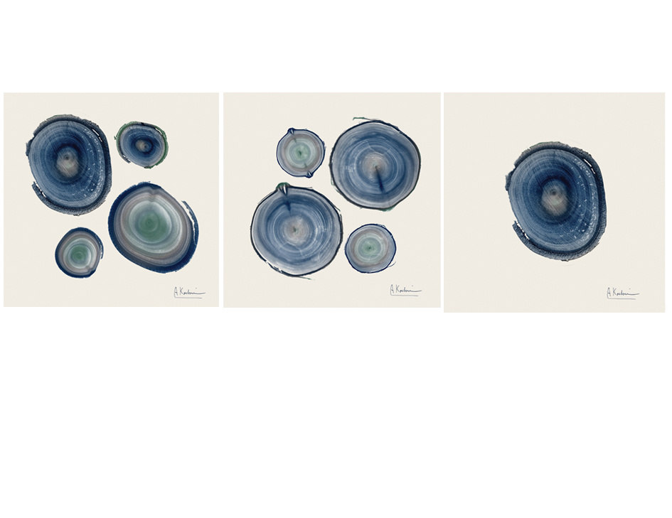 HY-00382 40X60