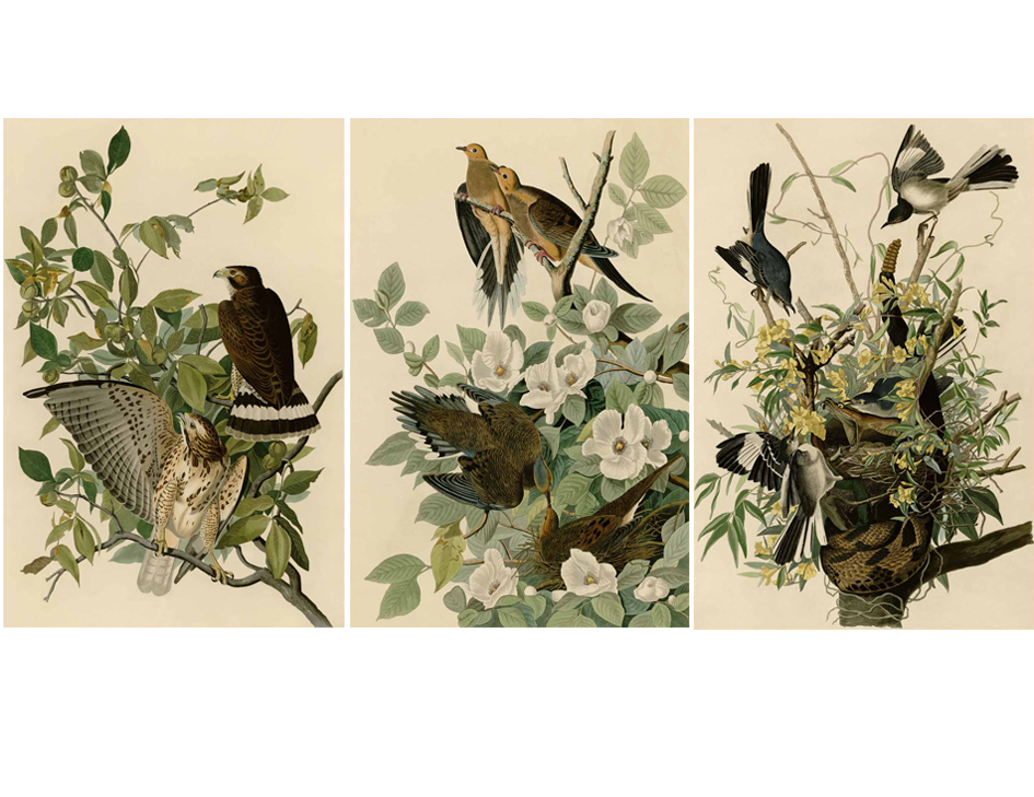 HY-00153 40x60