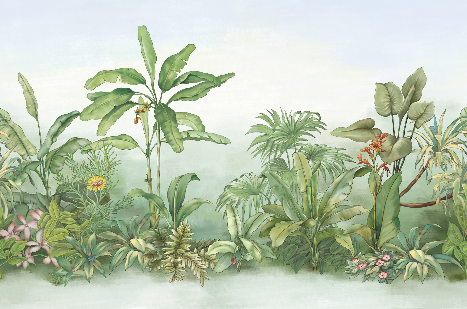 A060909热带手绘植物