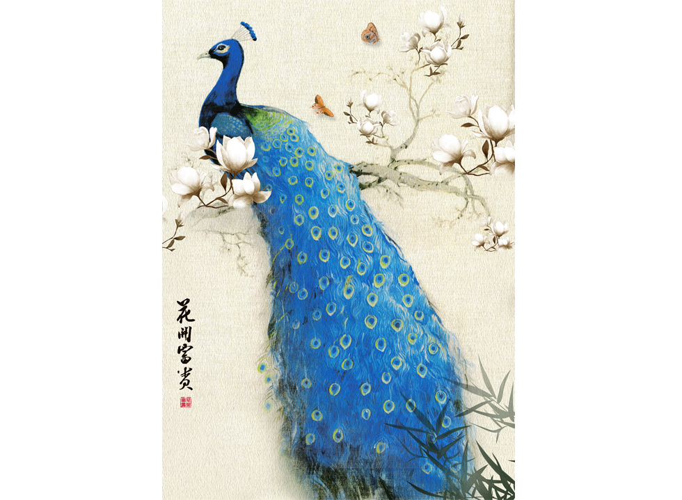 A060649孔雀
