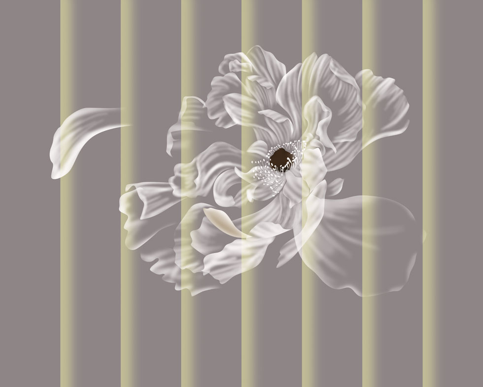 CN2268-A单色花朵