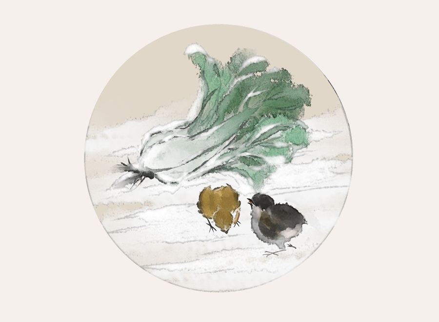 A063640-圆形-中式国画白菜