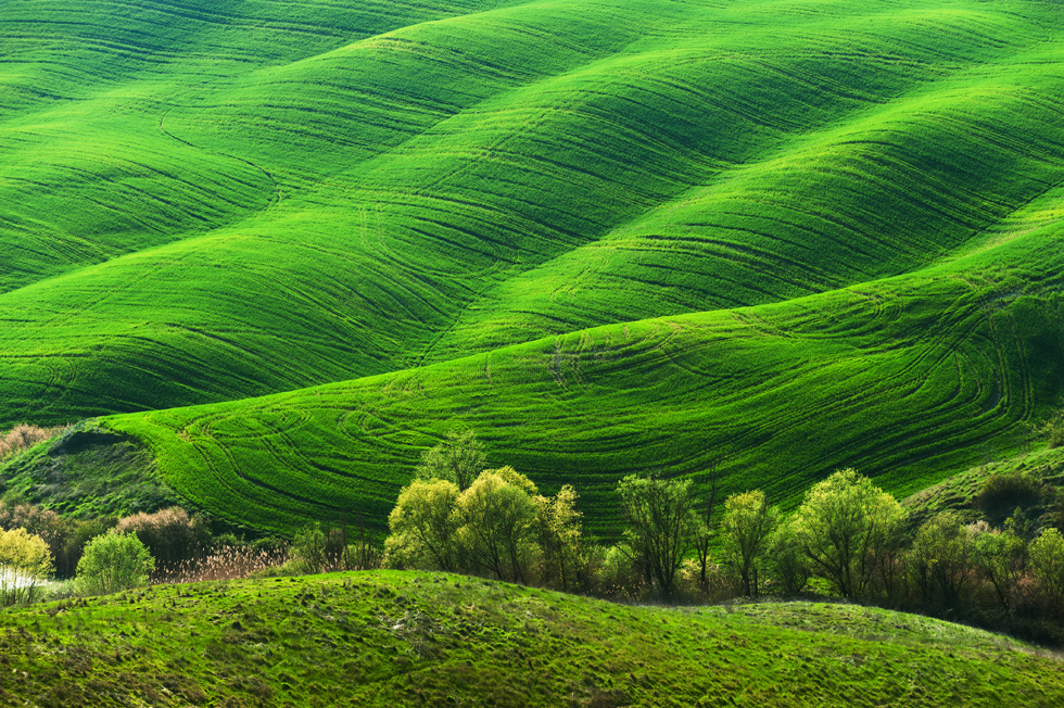 A059812-自然风景-森林-草地