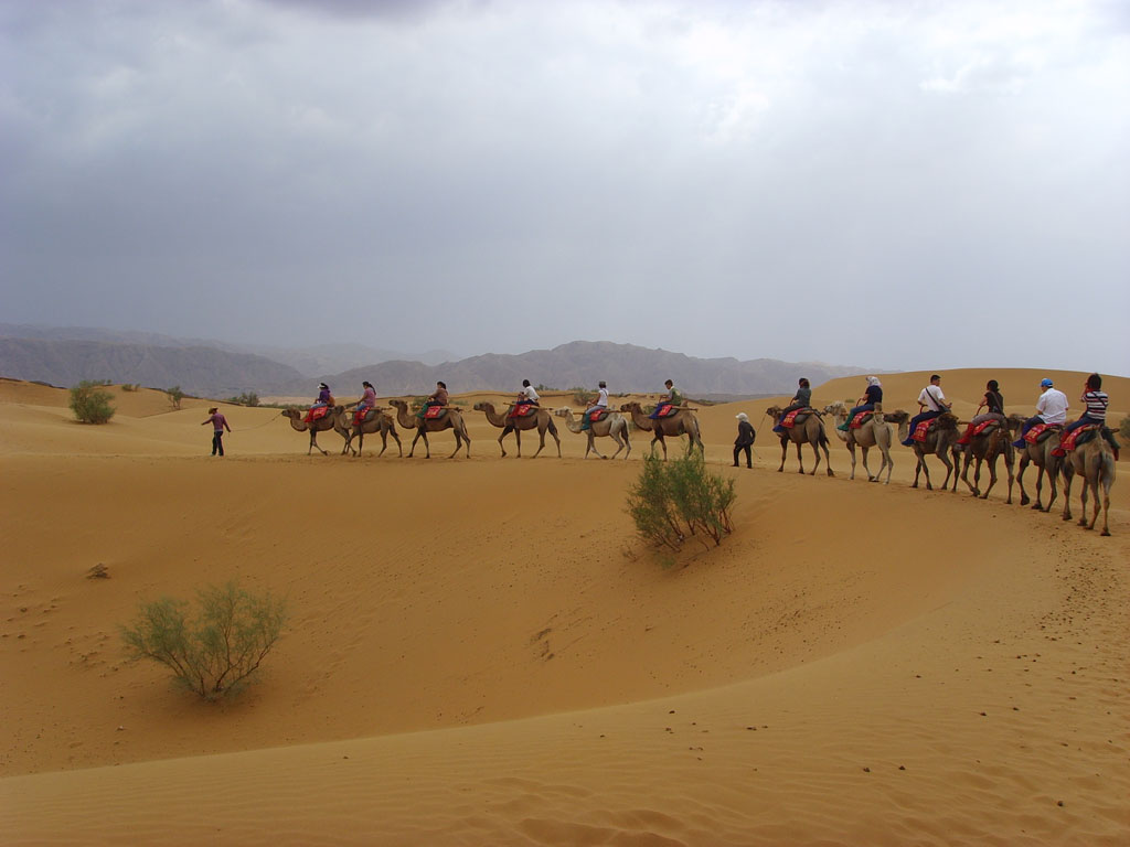 A054729-自然风景-沙漠沙漠骆驼