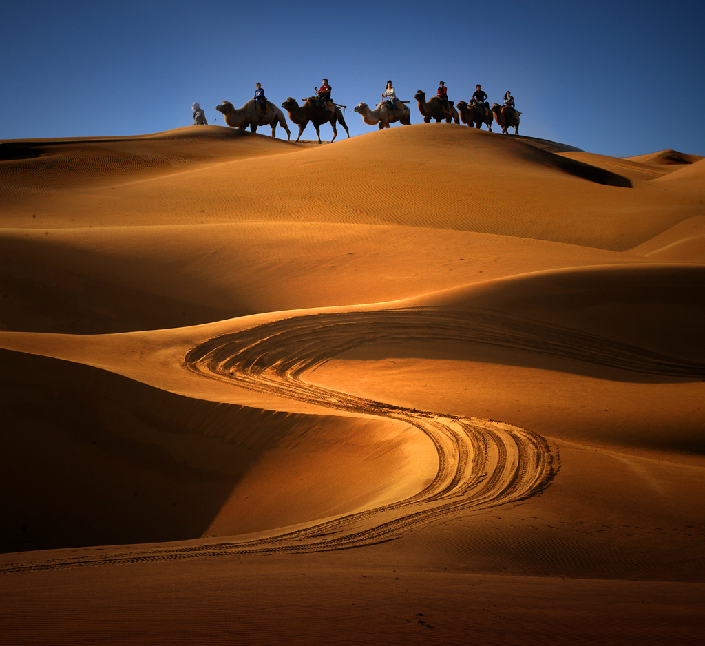 A056408-自然风景-沙漠沙坡头 大漠驼队