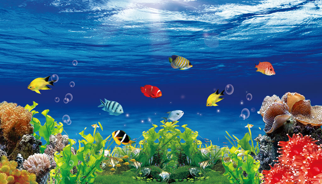 A050753-卡通-海底世界--鱼-海藻