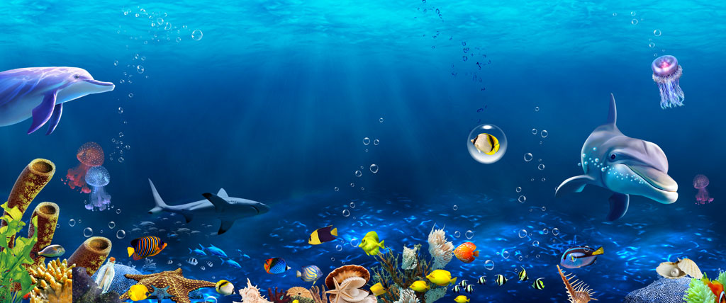 A050754-卡通-海底世界--海豚-鲨鱼-水母