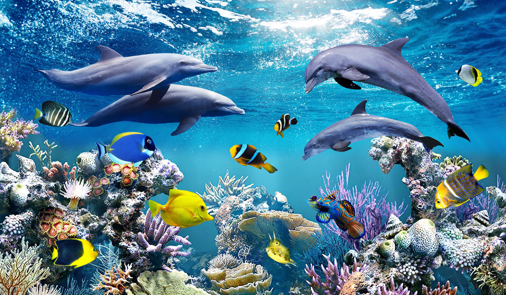 A052513-卡通-海底世界-海底世界-海豚