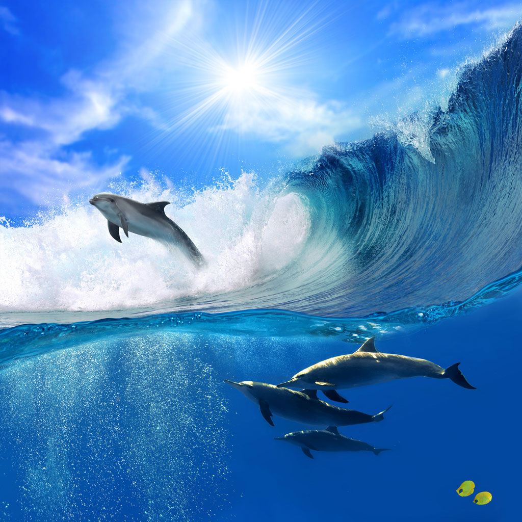 A054378-卡通-海底世界-跳跃的海豚