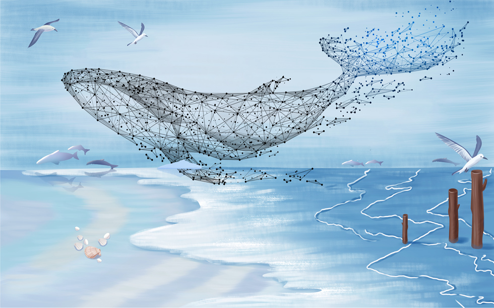 A061168-儿童-卡通简约-鲸鱼-海豚-海鸥