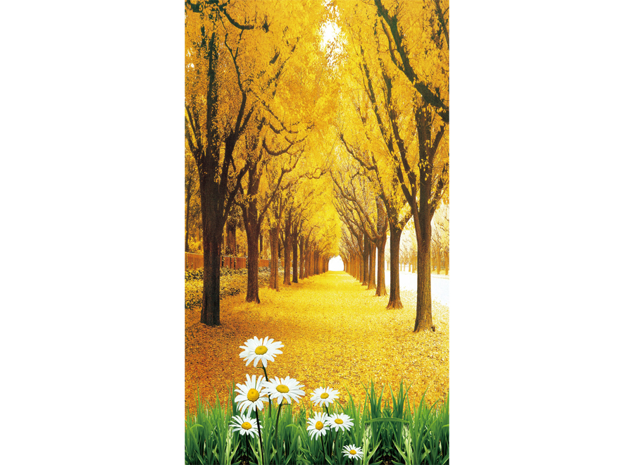 A050824-玄关-自然风景-黄金树-绿草-白花