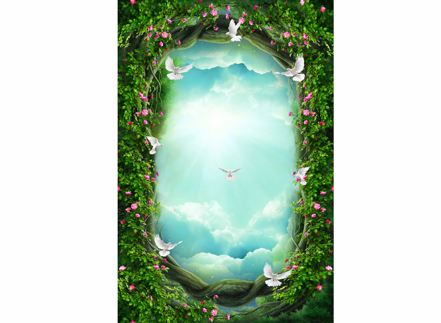 A053143-玄关-自然风景-梦幻童话天空云彩吊顶天顶